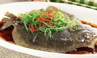 多宝鱼的功效与作用(多宝鱼的功效与作用及食用方法)