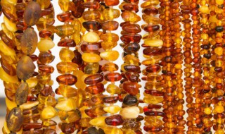 琥珀和蜜蜡有什么区别(琥珀和蜜蜡有什么区别为什么蜜蜡有贵)