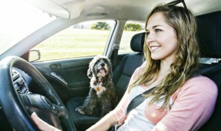 汽车日常养护注意事项是什么 汽车日常保养注意事项