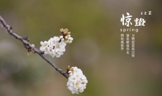 月夜反应的季节是什么季节 月夜描述的是什么季节