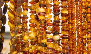 琥珀形成的条件是什么 琥珀形成的条件是什么四年级