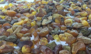 琥珀产地哪几个国家（琥珀盛产哪个国家）