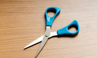 豆瓣绿什么季节可剪枝（豆瓣绿什么季节修剪）