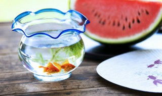 养鱼多久喂一次鱼食 养鱼多长时间喂一次鱼食