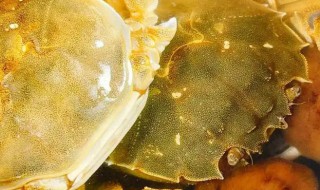 大闸蟹放冰箱冷藏还是冷冻 大闸蟹放在冰箱冷藏还是冷冻