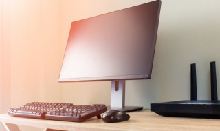 艾尔之光皮肤分离者哪里多（艾尔之光 露）