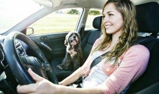 酒后驾驶逃逸怎么处罚（酒后驾驶肇事逃逸怎么处罚）