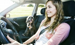 酒后驾驶非机动车怎么处理 酒驾非机动车要怎么处理