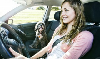 无证驾驶撞人怎么处罚(酒驾无证驾驶撞人怎么处罚)