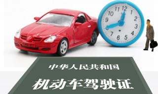 怎么查自己的驾驶证 怎么查自己的驾驶证档案编号