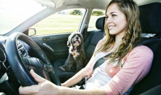 查驾驶证分怎么查（查驾驶证分怎么查电话）