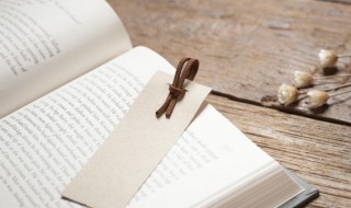 攻城掠地意思是什么（攻城掠地成语意思）