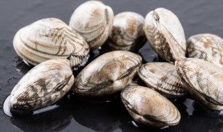 花蚬子怎么炒（花蚬子怎么炒最好吃）