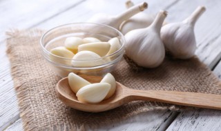 水培大蒜怎么养（水培大蒜怎么养长得好）