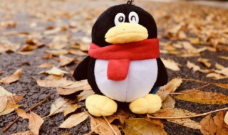 幽默的qq群名字大全（qq群名大全搞笑幽默）