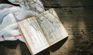 偏旁相同的词语 偏旁相同的词语有哪些?