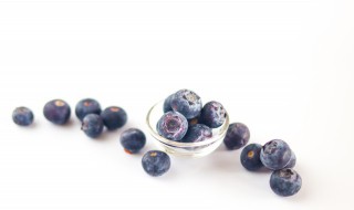 蓝莓牛奶榨汁有什么营养价值(纯蓝莓汁营养价值)