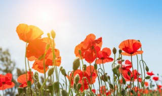 生活正能量的说说朋友圈(正能量朋友圈说说短句)