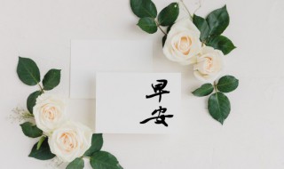 2022朋友圈早安正能量说说（心态正能量早安朋友圈2020）