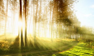 微商朋友圈早安说说 微商发朋友圈简短早安心语