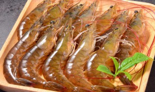 海鲜放在冷藏保存多久（海鲜放在冰箱保鲜多久）