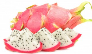 火龙果的养殖方法和注意事项(火龙果种植方法和后期养护)