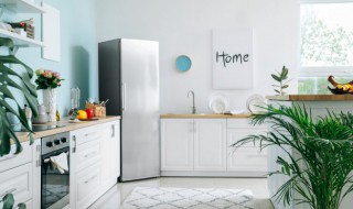 小户型房冰箱应该放哪里（小户型冰箱到底可以摆在哪里）