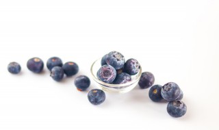 蓝莓的养殖方法和注意事项 蓝莓如何种植与养护