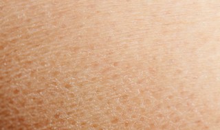 身上皮肤干怎么保养（皮肤干怎样保养）