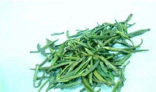 毛尖应该冷藏还是冷冻 毛尖要放在冷冻还是保鲜