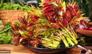 香椿的种植方法和时间 香椿的种植方法和技巧