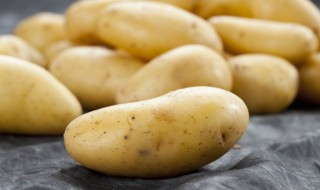 盆栽土豆的种植方法和时间 盆栽土豆怎么种植方法如下