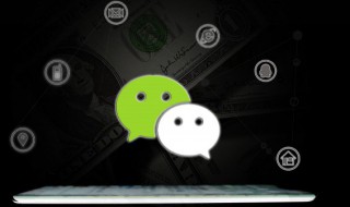 怎么设置微信支付指纹（怎么设置微信支付指纹优先）