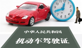 驾驶证掉了怎么补(驾驶证掉了怎么补办)