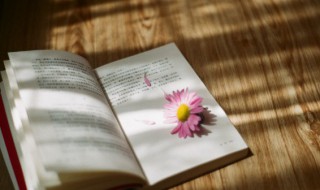 打一成语三个太阳中间一个梁字 三个太阳一个梁字打一成语疯狂看图