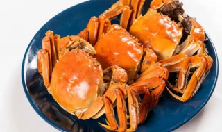 河蟹塘蟹与湖蟹的区别是什么 湖蟹海蟹河蟹的区别