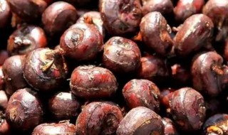 煮熟的荸荠有什么功效和作用(荸荠煮熟吃的功效与作用)