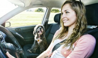 新车多少公里换机油（踏板新车多少公里换机油）