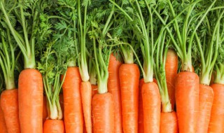 红萝卜放冰箱可以放多久(红萝卜放冰箱冷藏能存放多久)