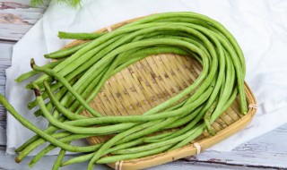 豇豆种植时间和方法（东北豇豆种植时间和方法）