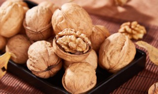 核桃种在地里能发芽长成树吗 核桃会发芽长成树吗?