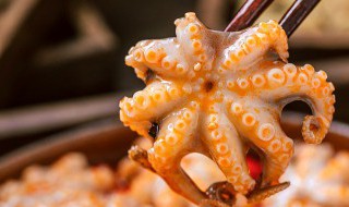 冷冻的章鱼应该怎样清洗和食用