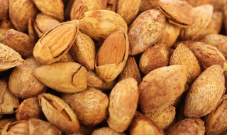 中国巴旦木产地是哪里 巴旦木的原产地