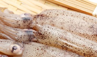 冷冻鱿鱼怎么处理不腥 鲜鱿鱼怎么处理不腥