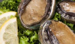 冷冻鲍鱼怎么清洗分别内脏 冷冻鲍鱼怎么去内脏