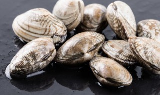 蚬子生放冰箱还是熟放冰箱好(蚬子可以放冰箱吗冷藏还是冷冻)