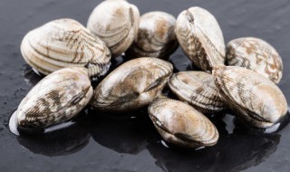 花甲放冷藏还是冷冻 花甲应该放在保鲜还是冷冻