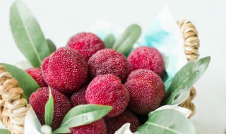 杨梅产地是哪里 杨梅产地是哪里的