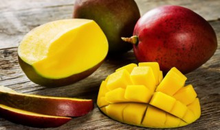 芒果季节是什么时候（芒果是在什么季节）