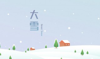 梦见大雪纷飞是什么征兆（梦见大雪纷飞是什么征兆而且还有月光谱照大地）